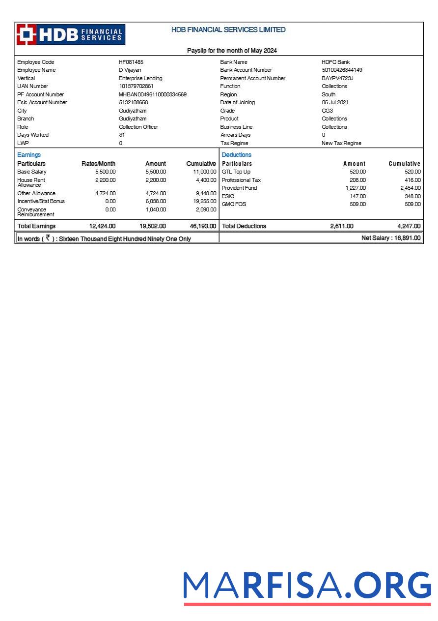 Blank HDB Financial Services payslip real example